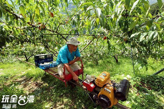 Da Kuan Peach Farm Resort Hualing Exterior foto